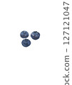 Illustration 4 of blueberries painted in oil painting style 127121047