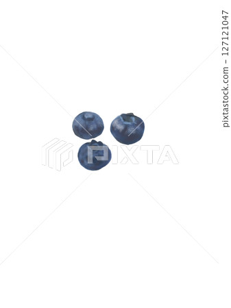 Illustration 4 of blueberries painted in oil painting style Illustration 4 of blueberries painted in oil painting style 127121047