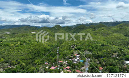 Tropical forest village mountain Cebu drone aerial Philippines Binongkalan exotic biodiversity plants and animals, endemic species mountains, range climate, dry season and rainy season, overpopulation 127121774