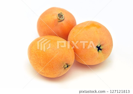 Biwa (from Natsuta) Biwa (from Natsuta) 127121813