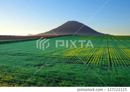 A clear blue sky and green pastures shining in the morning sun with Mt. Yotei in the background Ver1 127122125