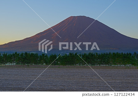 深秋的田野風景,以羊蹄山為背景,在藍天白雲的襯托下,朝陽染成紅色。 Ver2 深秋的田野風景,以羊蹄山為背景,在藍天白雲的襯托下,朝陽染成紅色。 Ver2 127122434