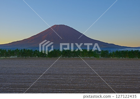 深秋的田野風景,以羊蹄山為背景,在藍天白雲的襯托下,朝陽染成紅色。 Ver1 深秋的田野風景,以羊蹄山為背景,在藍天白雲的襯托下,朝陽染成紅色。 Ver1 127122435