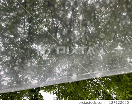 Rainy day view through a plastic umbrella 127122630