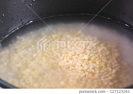Soaked white rice and glutinous barley Soaked white rice and glutinous barley 127123261