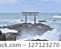 Torii torii 127123270