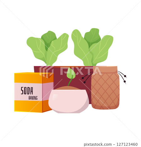 Eco gardening set with potted plants, baking soda, cloth bag. Eco gardening set with potted plants, baking soda, cloth bag. 127123460