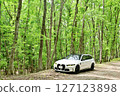Fresh green BMW 127123898