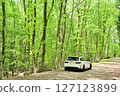 Fresh green BMW 127123899