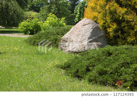Green lawn and stones in park. Trees and bushes in summer on sunny day. Background for design. Ecology and nature. Landscape design.  127124393
