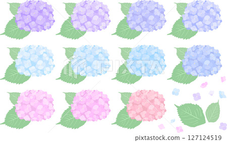 繡球花插花插圖集/雨季花卉素材/簡約平面風格 繡球花插花插圖集/雨季花卉素材/簡約平面風格 127124519