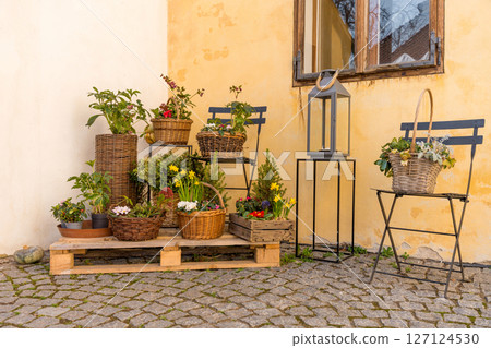 Spring flower arrangement in baskets on rustic patio with yellow wall and garden chairs 127124530