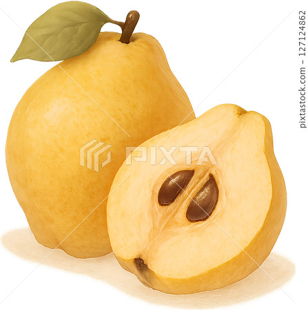 水彩水果插圖圖像 127124862