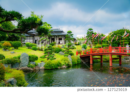 Japanese garden.  127125019