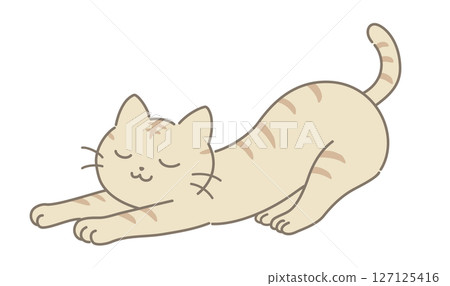 Stretching cat 127125416
