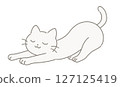 伸展貓 127125419