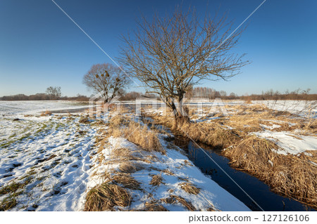 Small water ditch on snowy meadow with trees, winter view Small water ditch on snowy meadow with trees, winter view 127126106