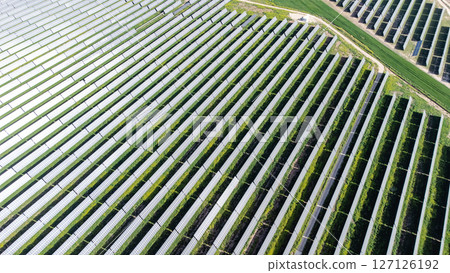 Solar panels capturing sunlight in large solar farm, renewable energy concept Solar panels capturing sunlight in large solar farm, renewable energy concept 127126192