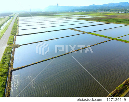 Aerial view of rice fields after rice planting in Esashi Town, Hokkaido in early summer 127126649