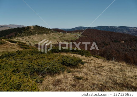 Komovi mountains in autumn, Montenegro - scenic view of rolling hills, wooden cabins, and layered mountain ridges under clear blue sky. Serene rural landscape in warm seasonal colors 127126653