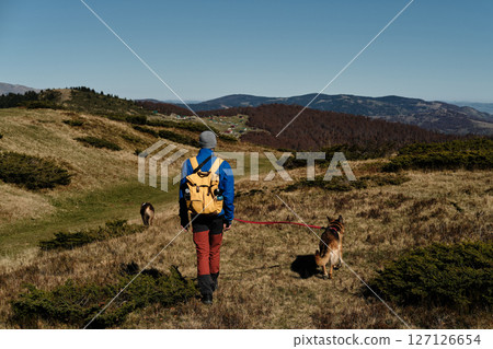Male hiker with a yellow backpack walking two dogs through the autumn landscapes of Komovi mountains in Montenegro, surrounded by rolling hills and distant village rooftops. Rear view 127126654