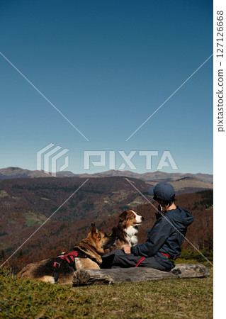 Woman sits on a log with two dogs. German and Australian Shepherds, enjoying peaceful autumn day in Montenegro Komovi mountains with owner. The moment captures loyalty and serenity Woman sits on a log with two dogs. German and Australian Shepherds, enjoying peaceful autumn day in Montenegro Komovi mountains with owner. The moment captures loyalty and serenity 127126668