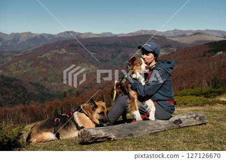 Woman sits on a log with two dogs. German and Australian Shepherds, enjoying peaceful autumn day in Montenegro Komovi mountains with owner. The moment captures loyalty and serenity Woman sits on a log with two dogs. German and Australian Shepherds, enjoying peaceful autumn day in Montenegro Komovi mountains with owner. The moment captures loyalty and serenity 127126670