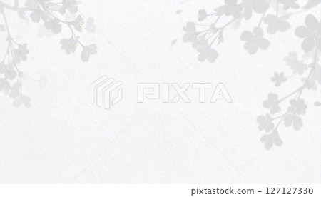 Japanese style white background with cherry blossoms 127127330