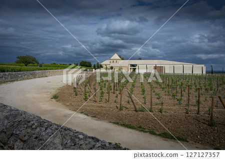 Springtime at Chateau Belair-Monnange in Saint-Emilion showcases Bordeaux vineyard under dramatic 127127357