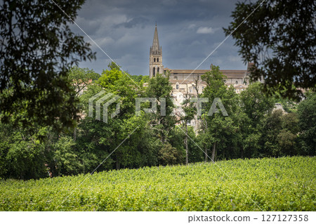 Vineyard view of Saint-Emilion, a historic town famous for its wine and picturesque landscapes 127127358