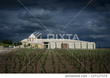 Springtime vineyards at Chateau Belai-Monnange in Saint-Emilion showcase lush grapevines under a 127127374