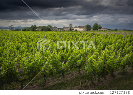 Vineyards of Saint-Emilion in Bordeaux region under a cloudy spring sky showcasing lush greenery and Vineyards of Saint-Emilion in Bordeaux region under a cloudy spring sky showcasing lush greenery and 127127388