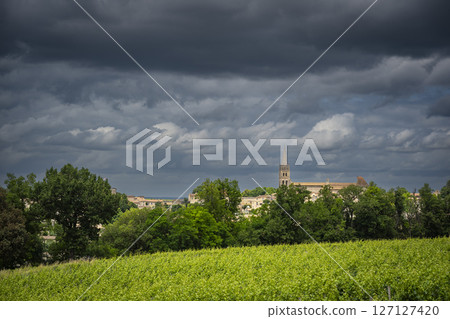 Vineyard view of Saint-Emilion, a historic town famous for its wine and picturesque landscapes 127127420
