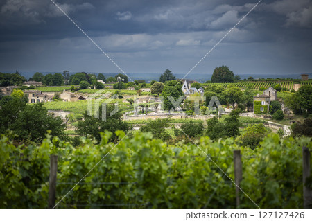 Bordeaux vineyards in AOC Saint-Emilion showcasing Chateau Auzone and lush green landscapes under a Bordeaux vineyards in AOC Saint-Emilion showcasing Chateau Auzone and lush green landscapes under a 127127426