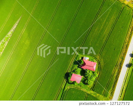 Aerial view of blue autumn-sown wheat fields in Atsuta-cho, Hokkaido in early summer Aerial view of blue autumn-sown wheat fields in Atsuta-cho, Hokkaido in early summer 127127572