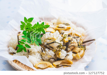 Wild vegetable owl 127127752