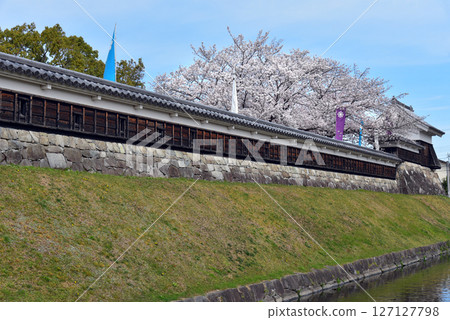 在Katsuruji城堡的櫻花在京都 在Katsuruji城堡的櫻花在京都 127127798