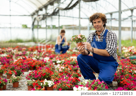 Male greenhouse worker with Flowers Male greenhouse worker with Flowers 127128013