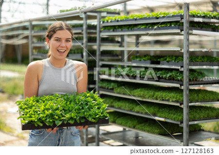 Woman carrying tray with mint flower sprouts in greenhouse 127128163