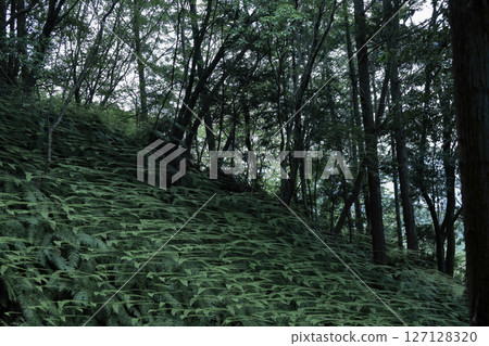 遇見你的沮喪 127128320