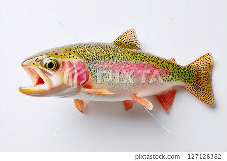 Rainbow trout displayed on clean white surface, highlighting vivid colors and scales. Concept of culinary arts, seafood industry, fish market. 127128382