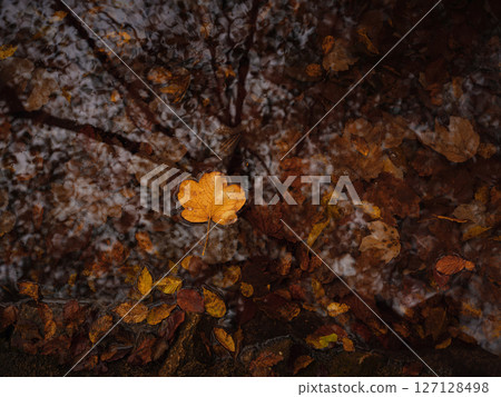 Plitvice Lakes in Croatia during autumn, showcasing stunning waterfalls, vibrant foliage, and crystal-clear waters, creating a magical and serene natural landscape perfect for nature lovers. 127128498