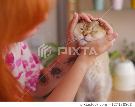 Beautiful short hair cat at home with woman. Adorable domestic pet concept. against a background of indoor plants Beautiful short hair cat at home with woman. Adorable domestic pet concept. against a background of indoor plants 127128568