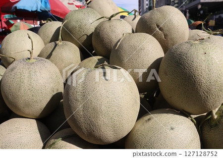 Cantaloupe tree plant in hydroponic system on farm Cantaloupe tree plant in hydroponic system on farm 127128752