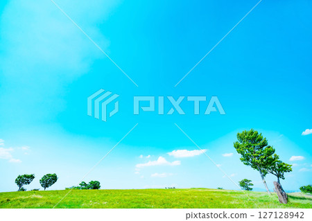 Blue sky and clouds and prairie Blue sky and clouds and prairie 127128942