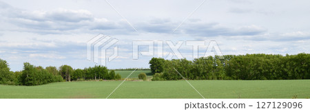 panorama of Russian plain nature with fields and forests panorama of Russian plain nature with fields and forests 127129096