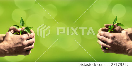 Hands holding young tree for planting on a blurred green nature backgraund. Concept eco earth day. Hands holding young tree for planting on a blurred green nature backgraund. Concept eco earth day. 127129252