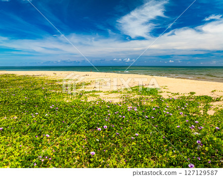 Beautiful sea beach nature background,High Angle view beach sea background. 127129587