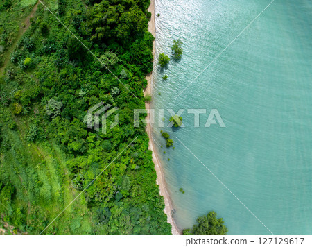 Amazing abundant mangrove forest, Aerial view of forest trees Rainforest ecosystem and healthy environment background, Texture of green trees forest top down,High angle view wide angle lens. 127129617