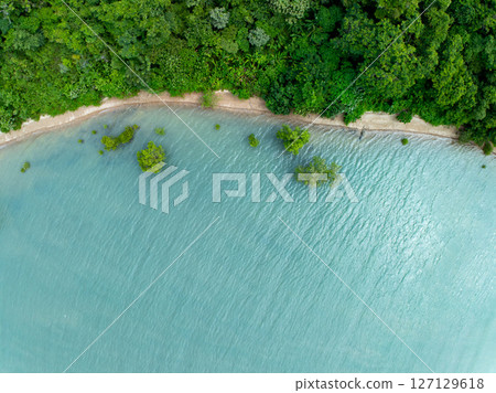 Amazing abundant mangrove forest, Aerial view of forest trees Rainforest ecosystem and healthy environment background, Texture of green trees forest top down,High angle view wide angle lens. 127129618